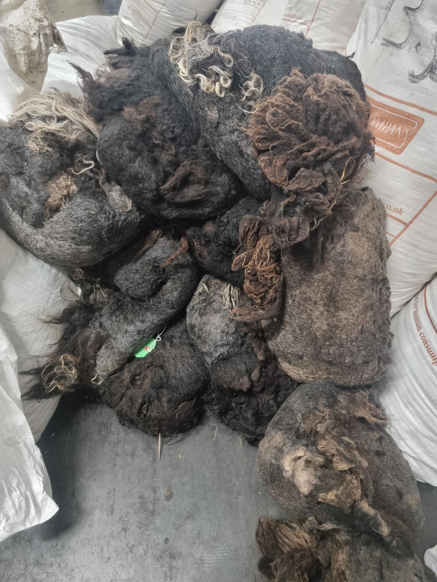 Felted/Matted fleece (Hebridean) 28Kgs - FREE