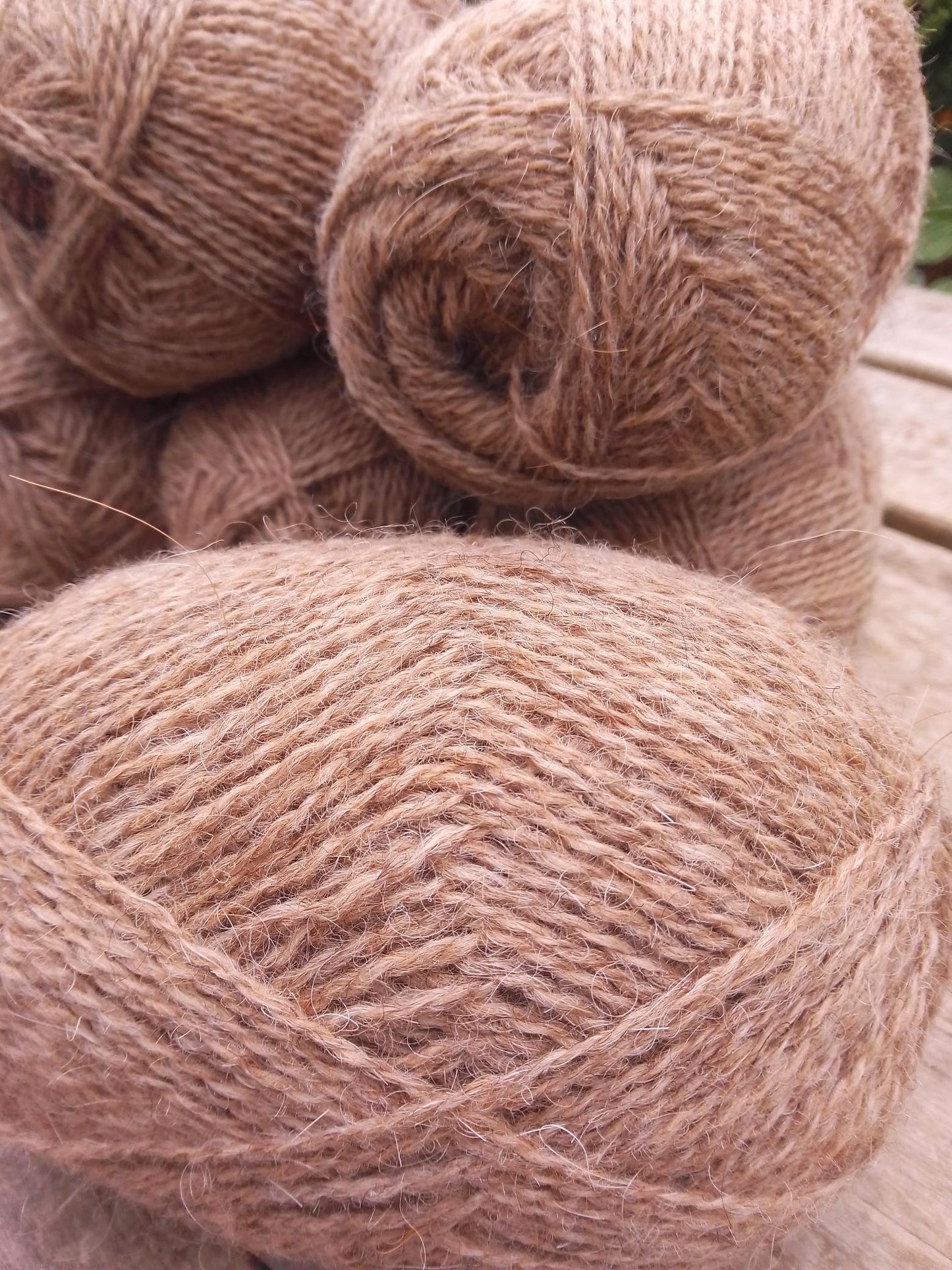 Guanaco and Leicester Longwool Yarn, DK