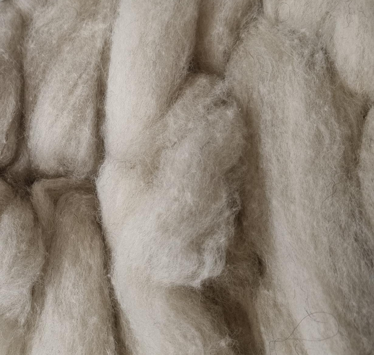 Carded Waste Off White/Ecru