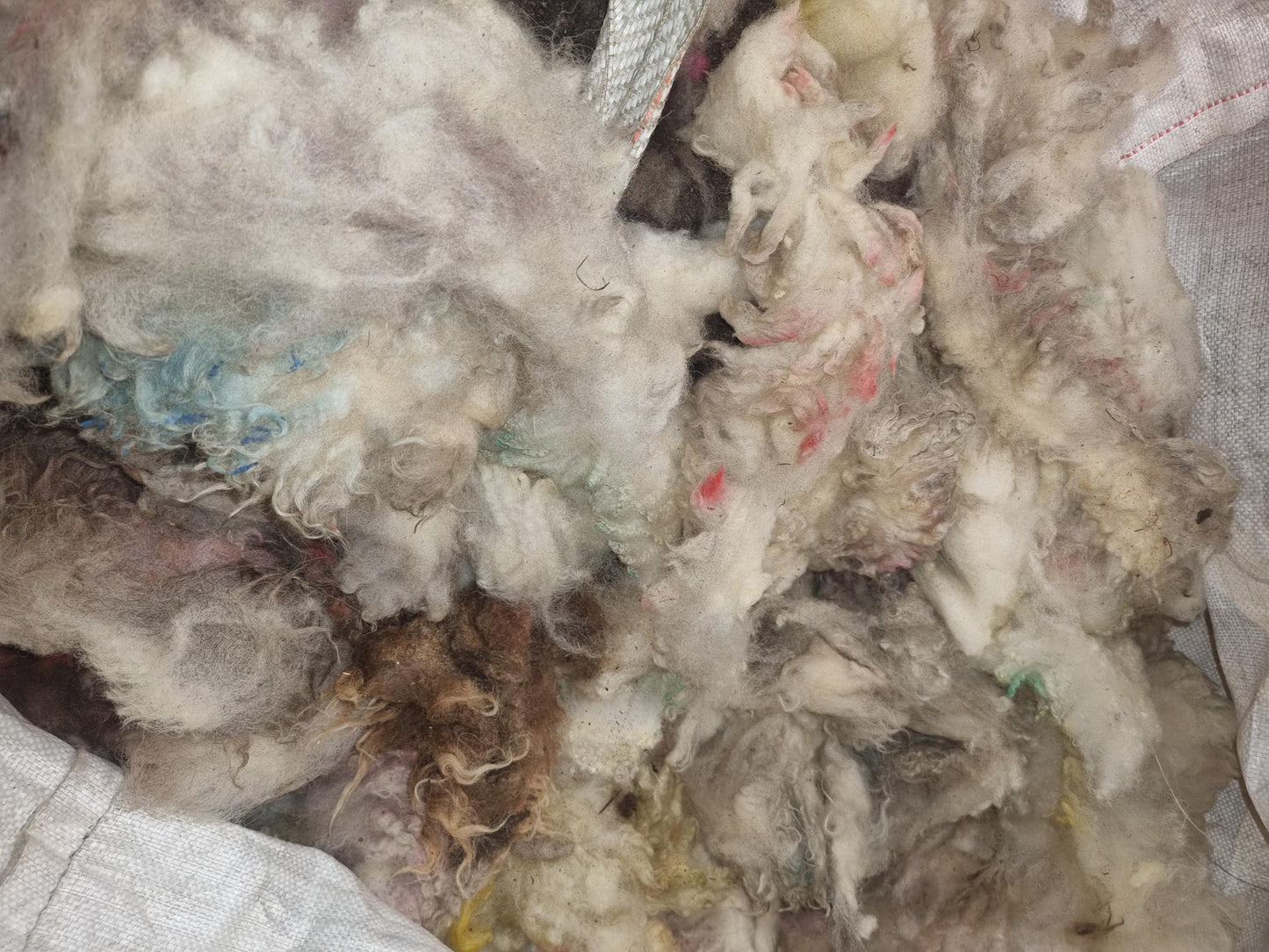 Paint Marked Fleece - FREE