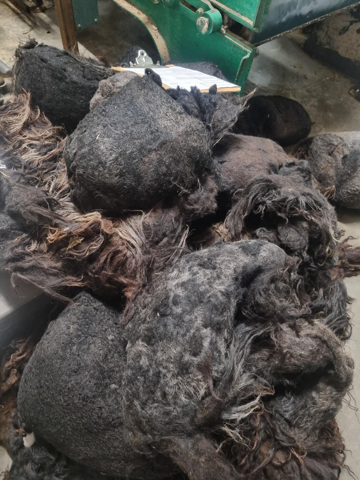 Felted/Matted fleece (Hebridean) 28Kgs - FREE