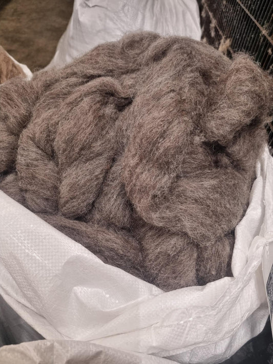 Carded Waste Medium Grey